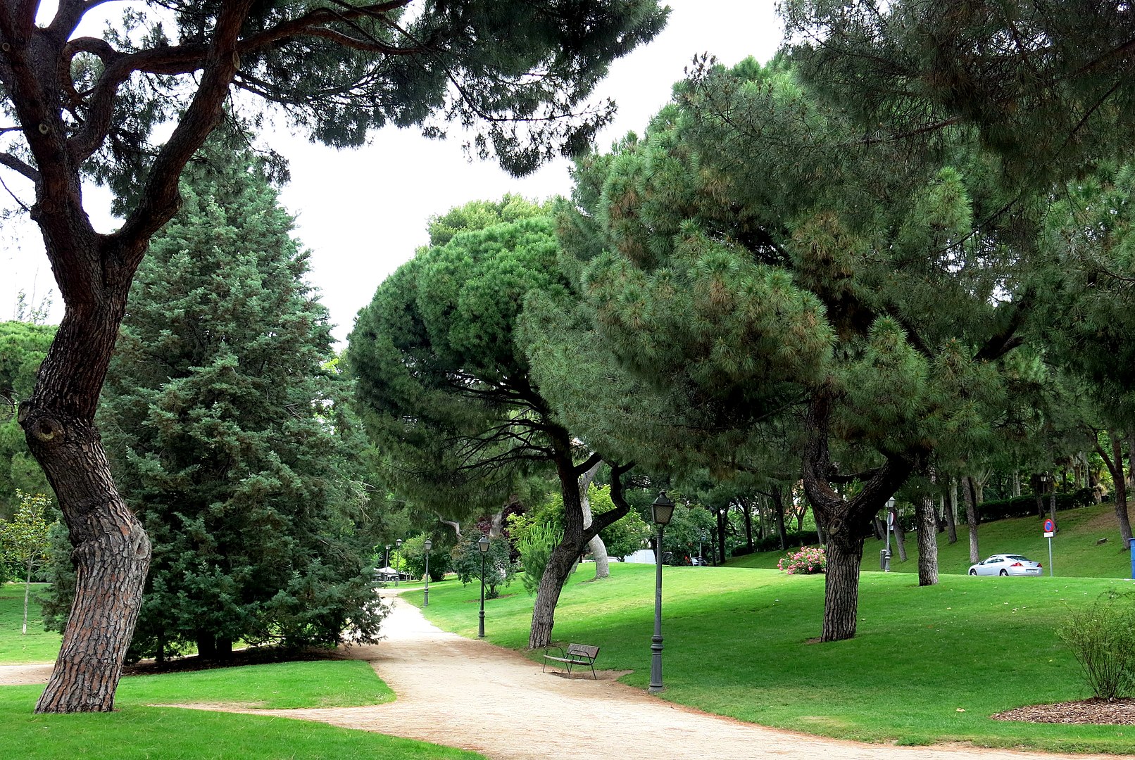 parques para perros en madrid